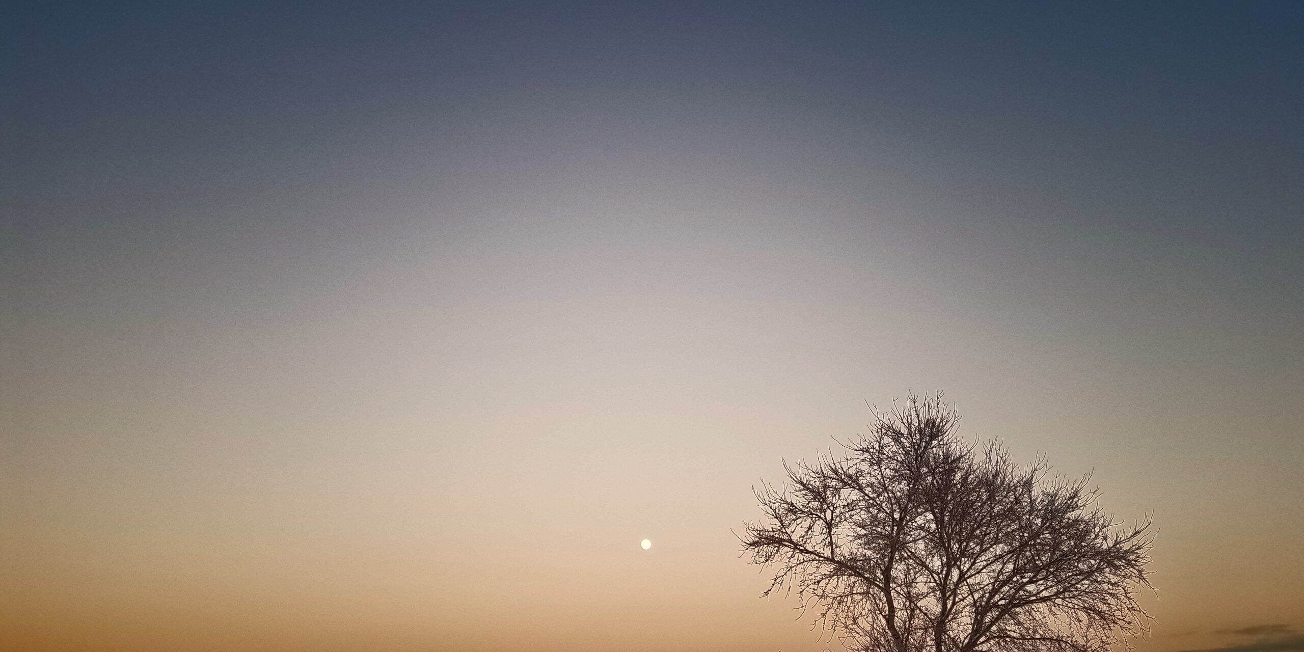 1-16-22-moonrise