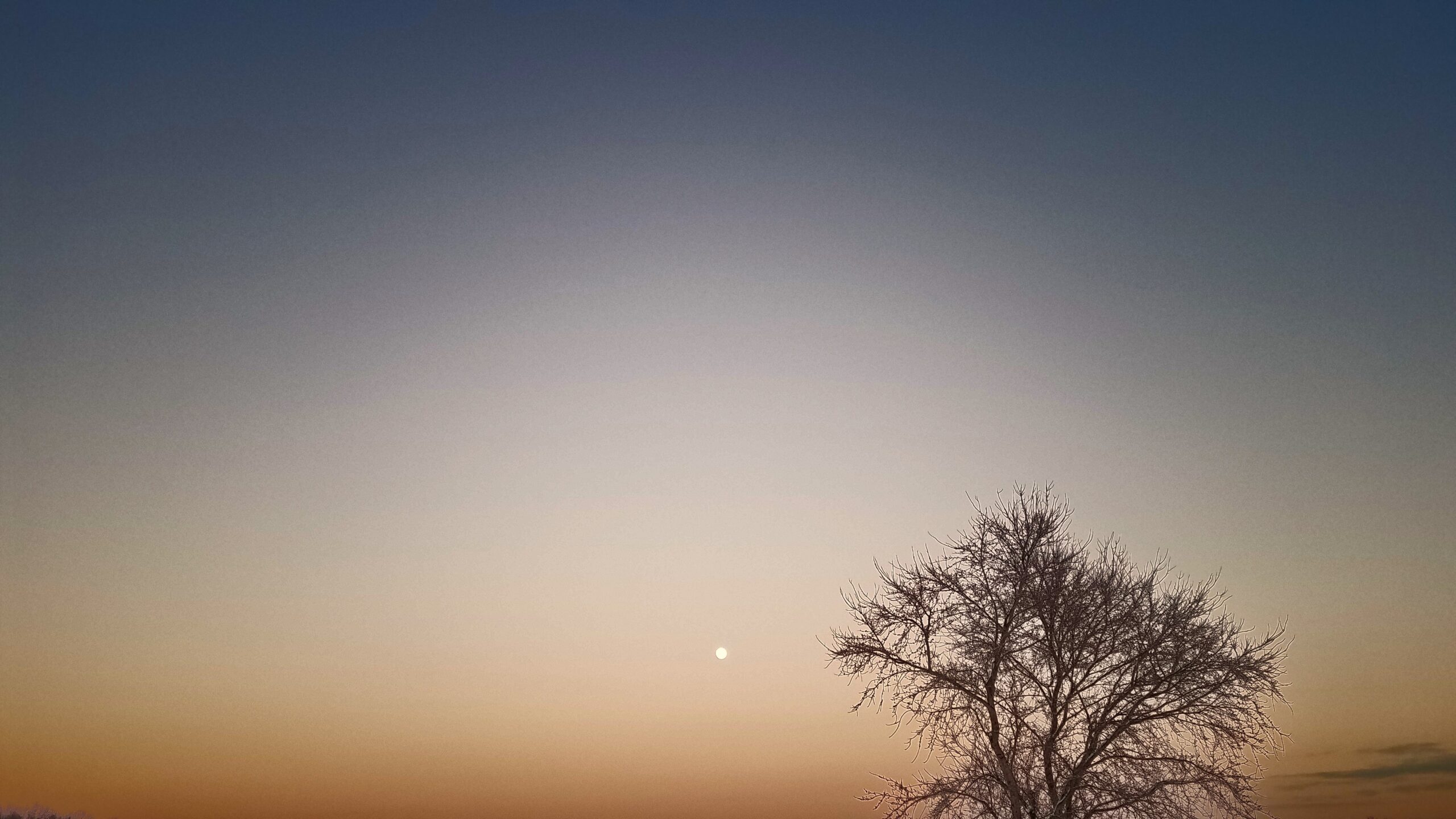 1-16-22-moonrise