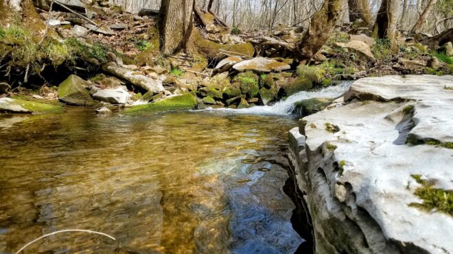 Bear Creek at Tsula Adohi Bear Creek at Tsula Adohi