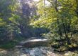 Creek at Tsula Adohi