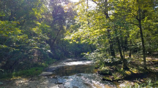 Creek Creek at Tsula Adohi