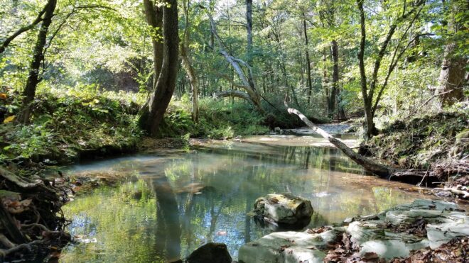 Tsula Adohi Bear Creek Tsula Adohi Bear Creek